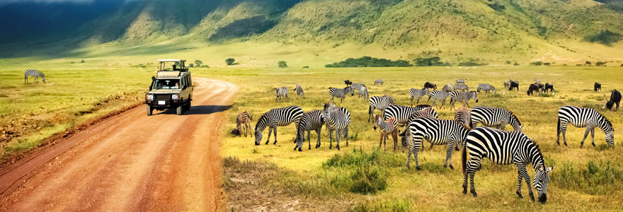 safari en Tanzanie